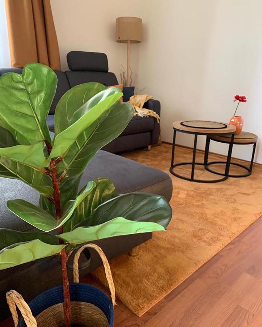 Sovirag Apartman เอ็กแกร์ซาโลก ภายนอก รูปภาพ