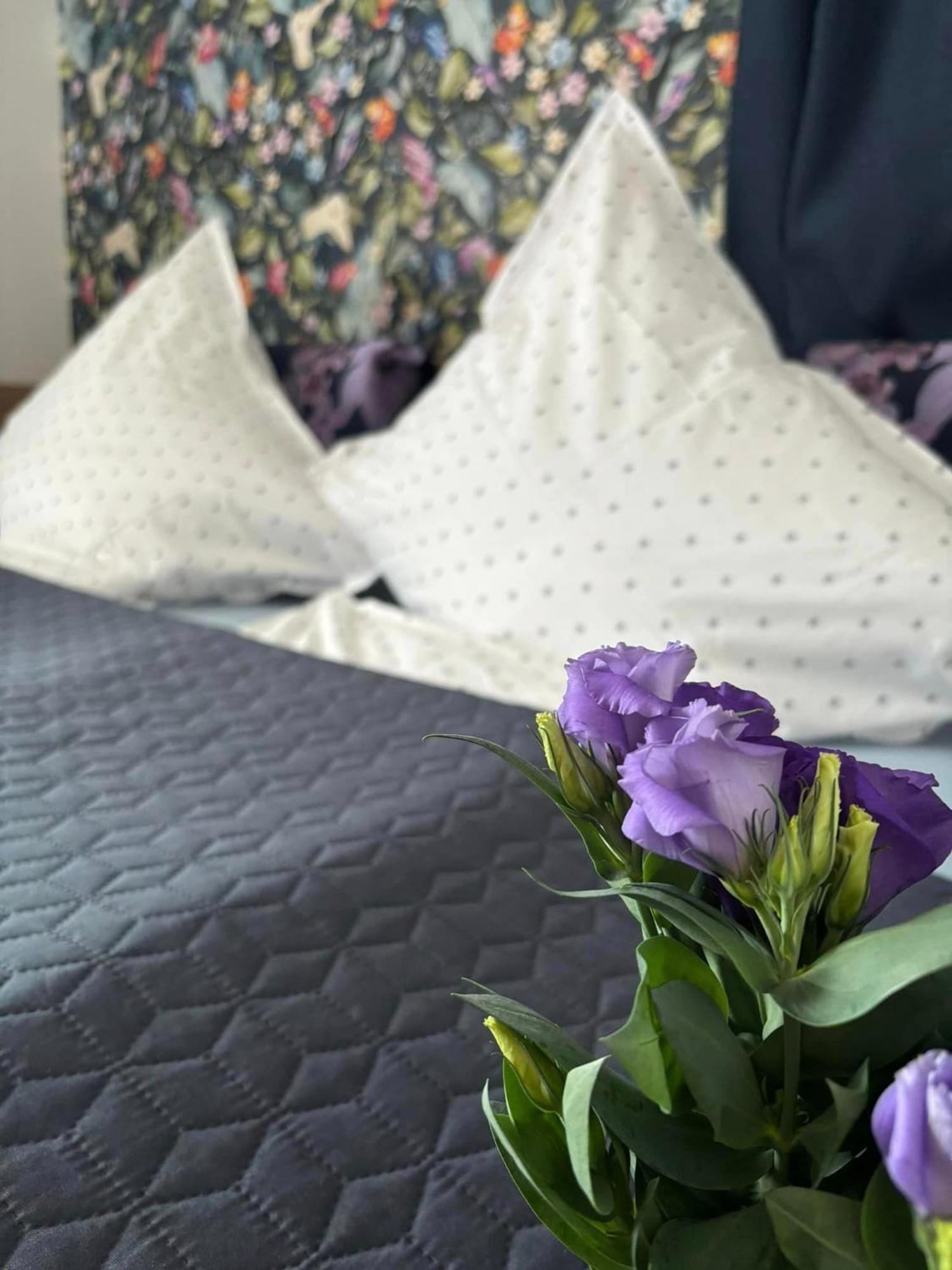 Sovirag Apartman เอ็กแกร์ซาโลก ภายนอก รูปภาพ
